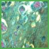 Ruby in Fuchsite Ruby in Fuchsite